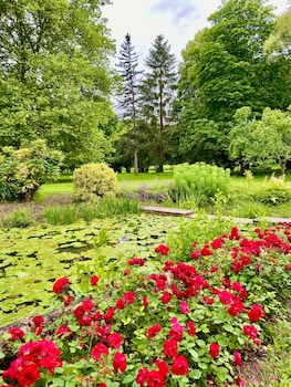 le moulin de francueil