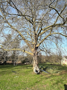 le moulin de francueil