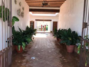 apartamentos turisticos hostal los alisos