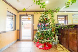 budget inn by oyo edinburg hwy 281