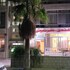 nefertiti hotel