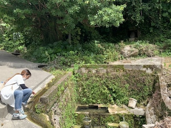 kalakaua inn the kitchen hostel ao