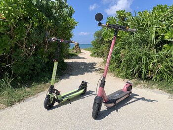 kalakaua inn the kitchen hostel ao