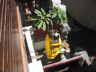 gustav bali homestay and massage