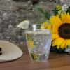 hotel garni anger 5