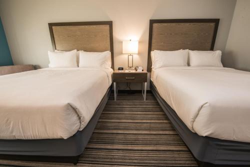 holiday inn exp and sts houston hobby airport area