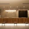 sotetsu fresa inn ginza nanachome