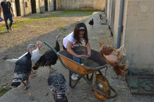 hotel rural yeguada albeitar