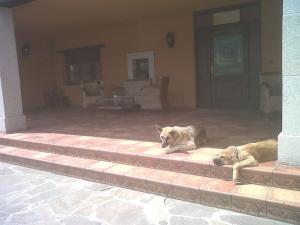 hotel rural yeguada albeitar
