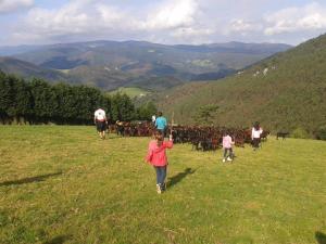 hotel rural yeguada albeitar