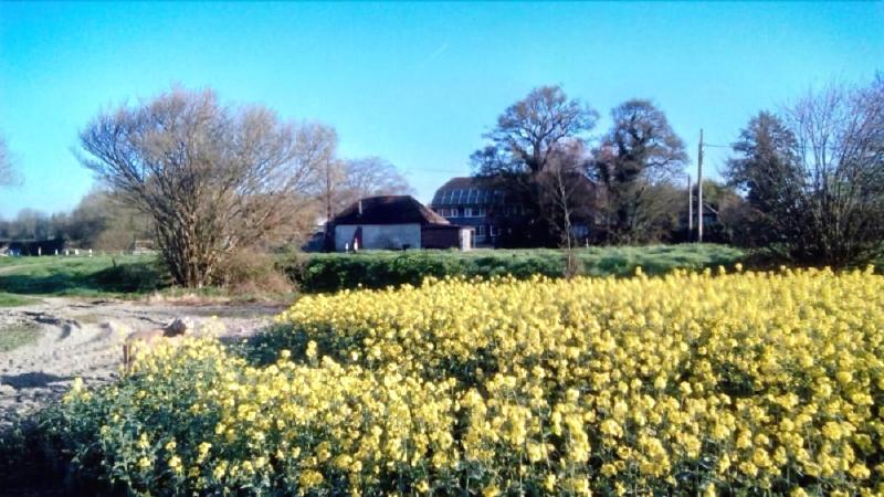 Copper Beeches Accomodation,Gosport>>East Meon,3 star