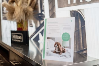 embassy suites by hilton new york manhattan times square