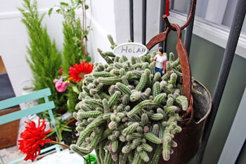 el puerto de santa maria