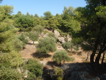 sithonia