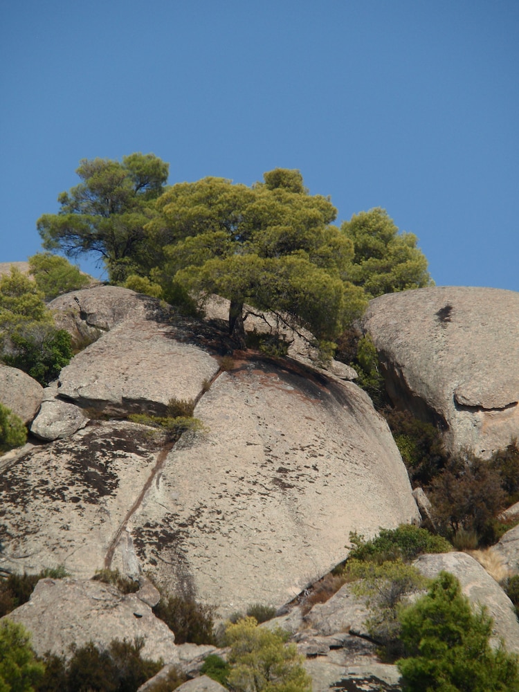 sithonia