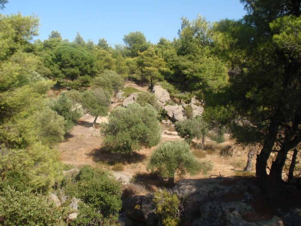 sithonia