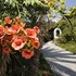 sithonia