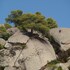 sithonia