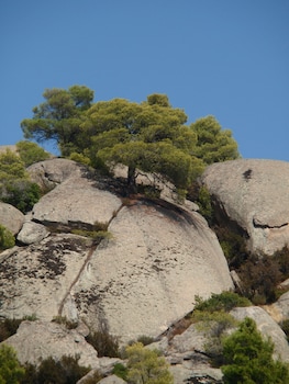 sithonia