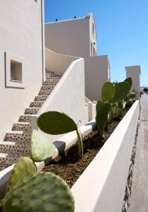 fileria suites