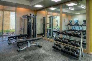 holiday inn and suites houston west katy mills