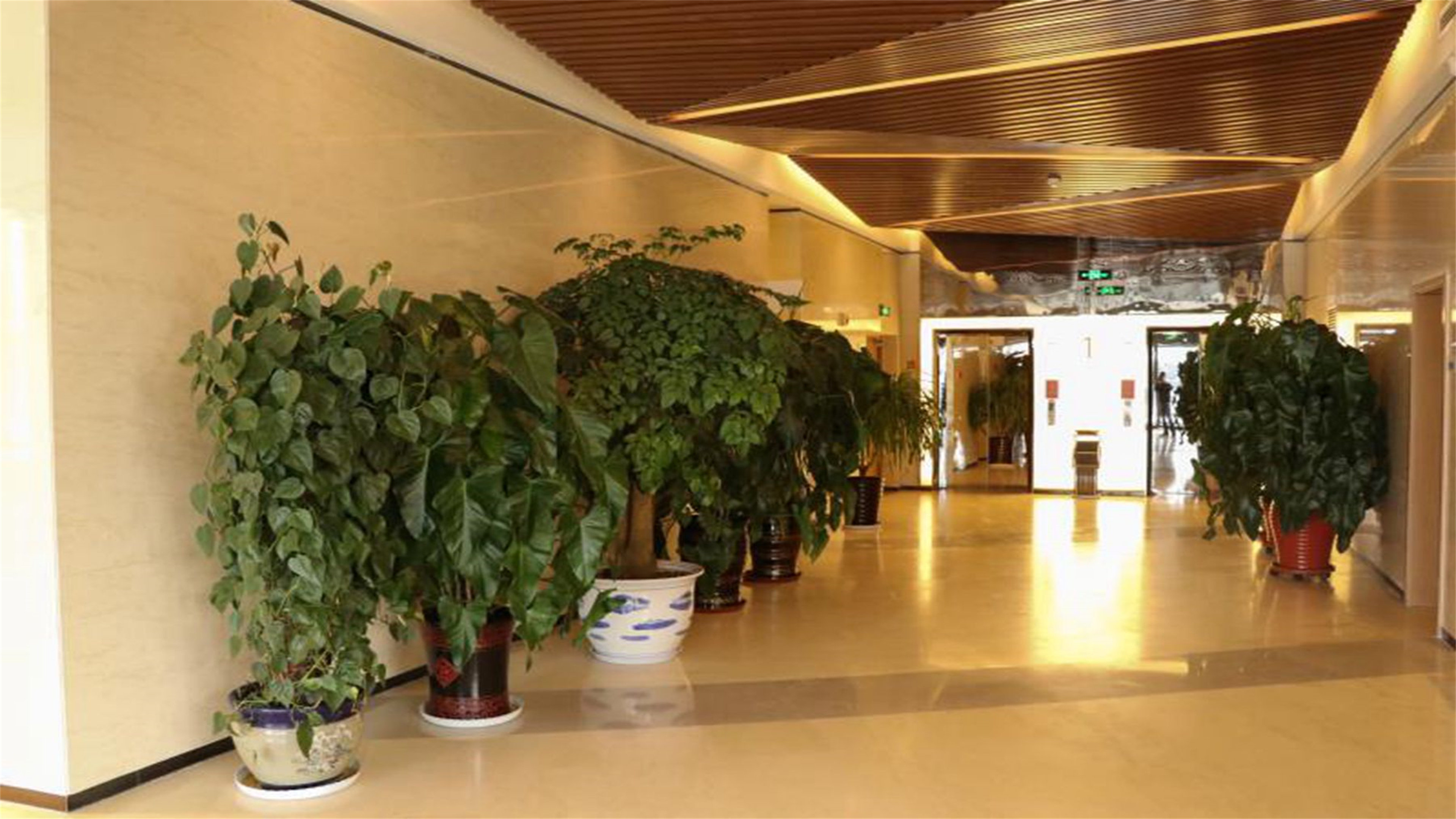 holiday inn express zhangjiakou park view