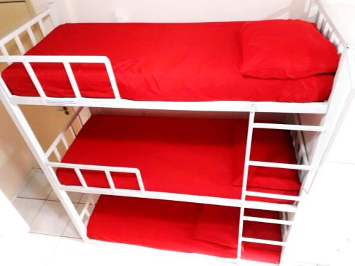 rio de janeiro