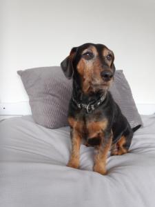 lake view country house