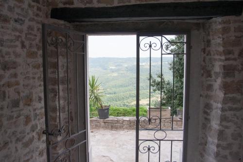 motovun