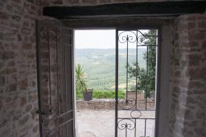 motovun