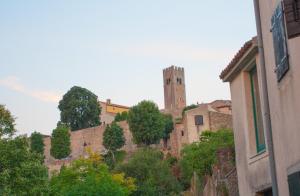 motovun
