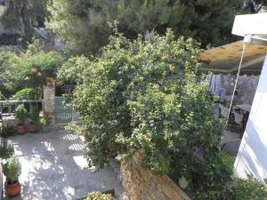 pension votsi