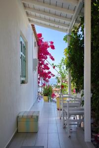 pension votsi