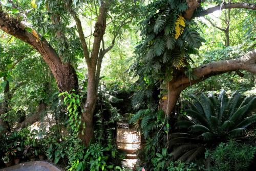 marbella guest house