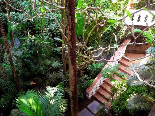 marbella guest house