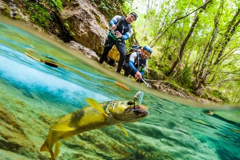 gite du chalet pietri