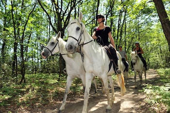 gite du chalet pietri