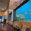 Hirado Kaijyo Hotel,Nagasaki Prefecture>>Hirado,3 star