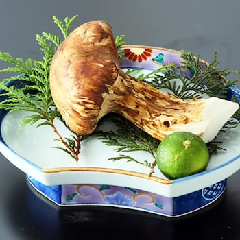 tsukubasan onsen edoya