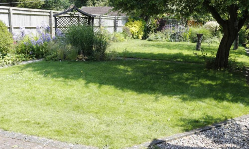 hollybush guest house