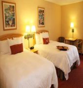 hampton inn orlando maingate south