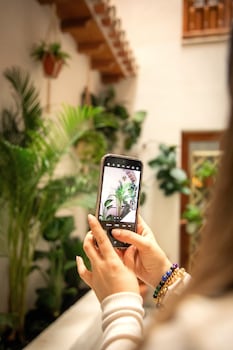 apartamentos vita center