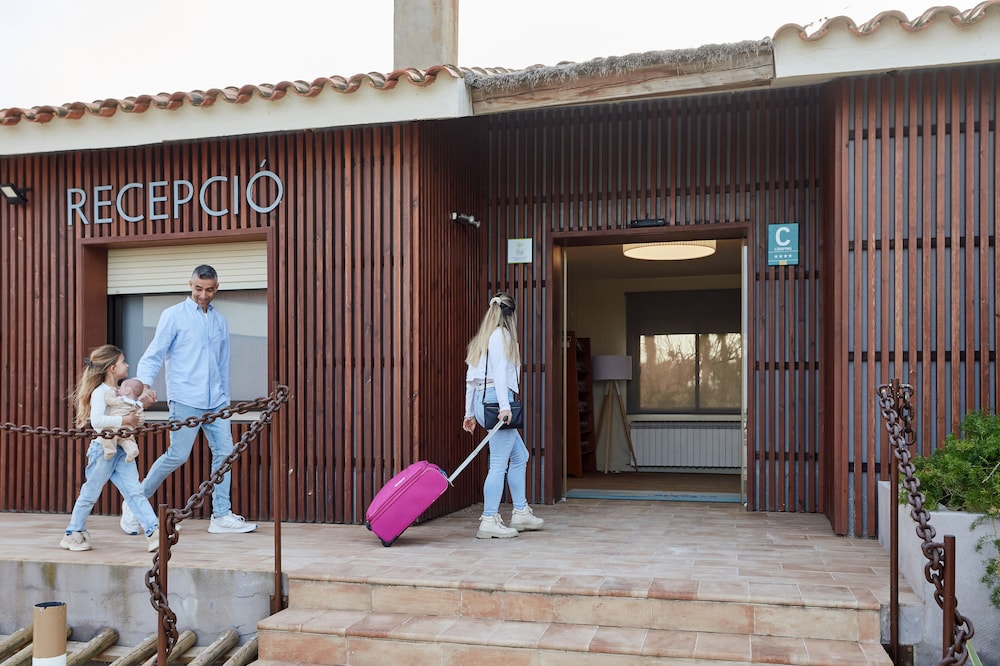 taiga delta de lebre