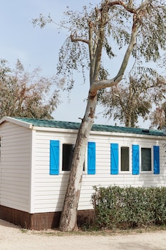 taiga delta de lebre