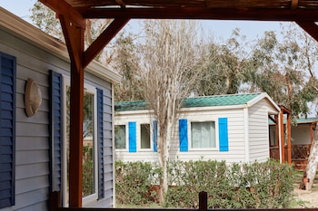 taiga delta de lebre