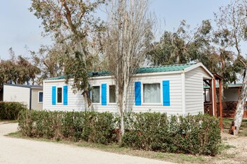 taiga delta de lebre