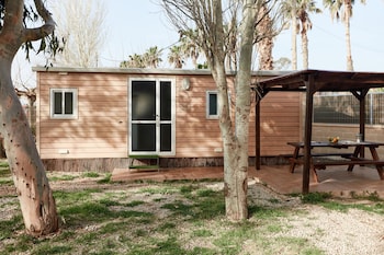 taiga delta de lebre