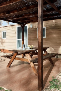 taiga delta de lebre