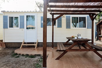 taiga delta de lebre