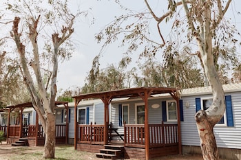 taiga delta de lebre